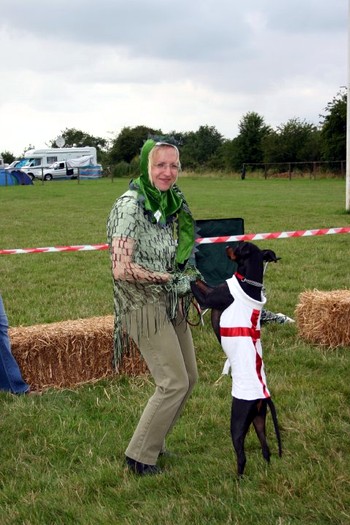 fancy dress king george and the dragon image